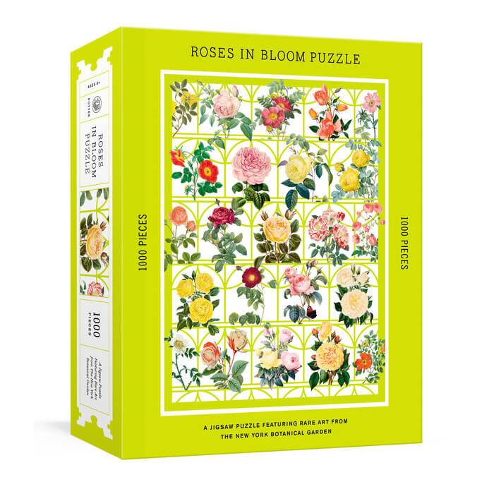 Puzzle (1000pc) Roses in Bloom