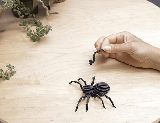 3D Paper Puzzle Insect