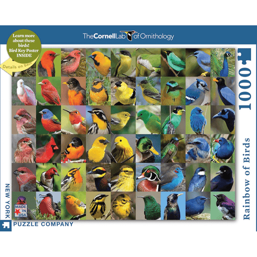 Puzzle (1000pc) Cornell Lab of Ornithology : Rainbow of Birds