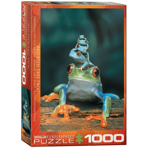 Puzzle (1000pc) Animal Life Photography : Red-Eyed Tree Frog