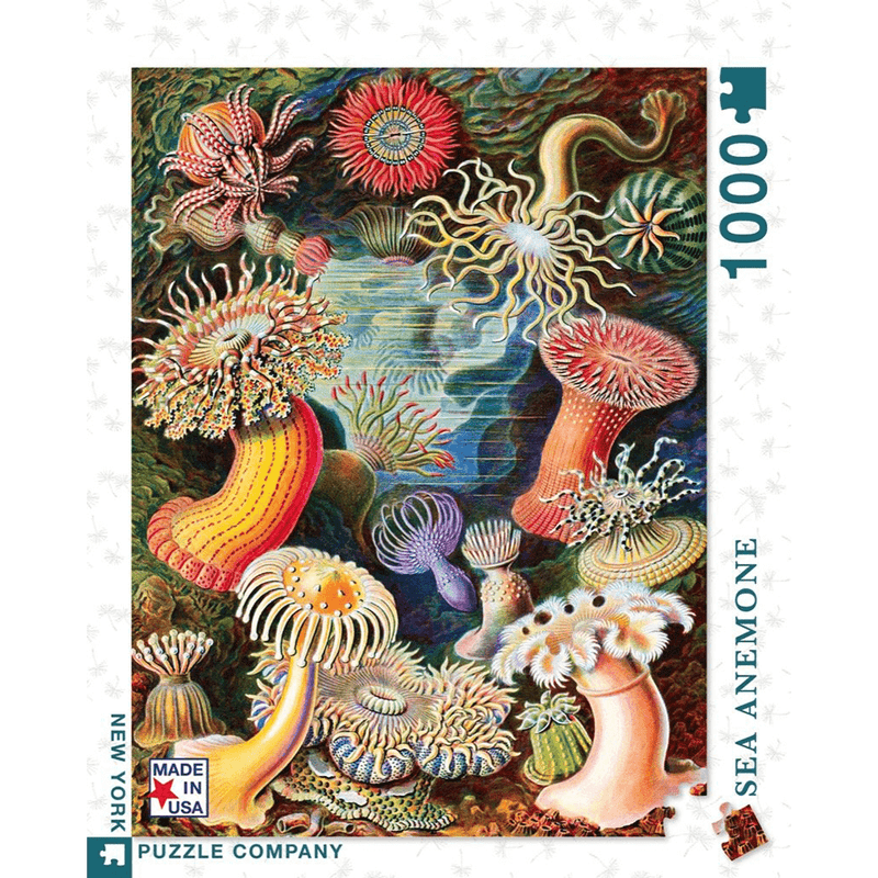 Puzzle (1000pc) Ernst Haeckel : Sea Anemones