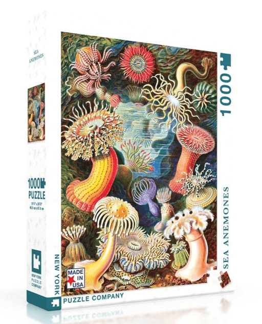Puzzle (1000pc) Ernst Haeckel : Sea Anemones