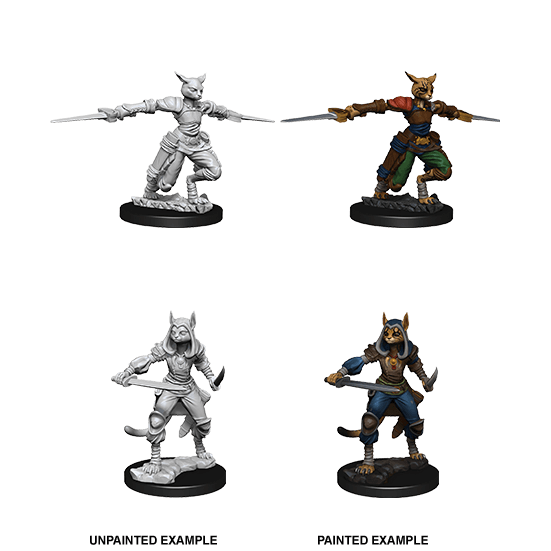 Mini - D&D Nolzur's Marvelous : Tabaxi Rogue (Female)