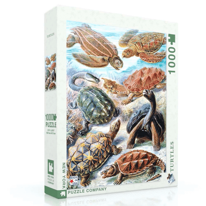 Puzzle (1000pc) Turtles