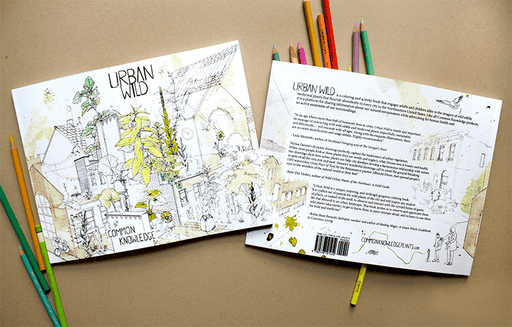Coloring Book Urban Wild Activity