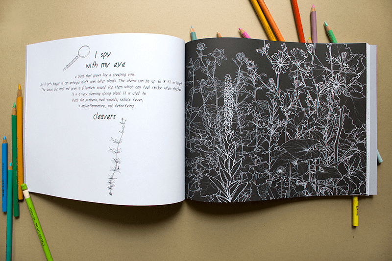 Coloring Book Urban Wild Activity