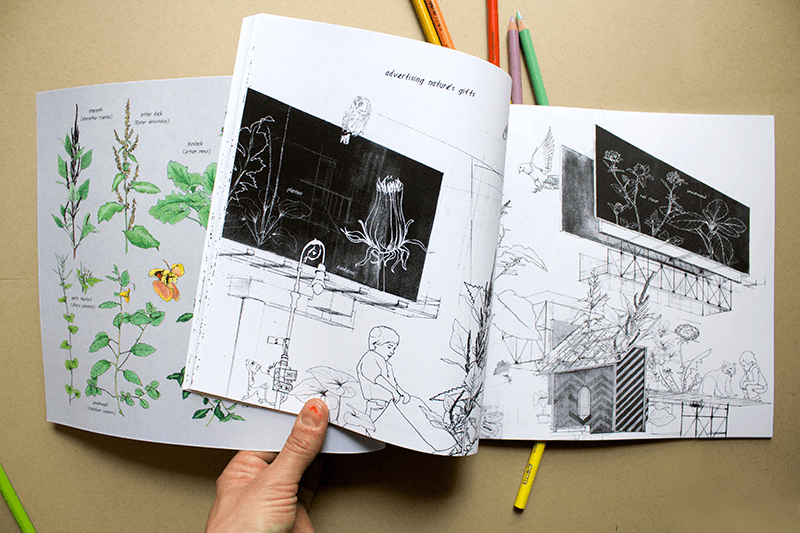 Coloring Book Urban Wild Activity