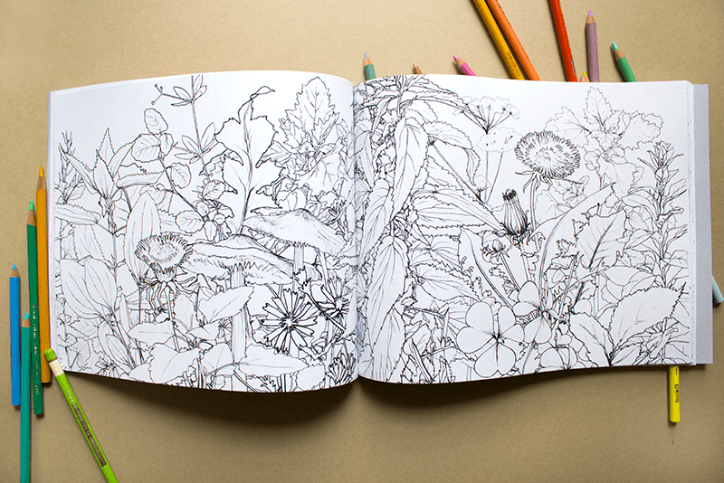 Coloring Book Urban Wild Activity