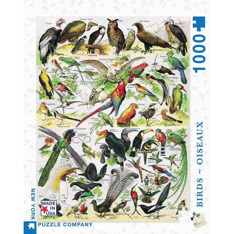 Puzzle (1000pc) Vintage : Birds