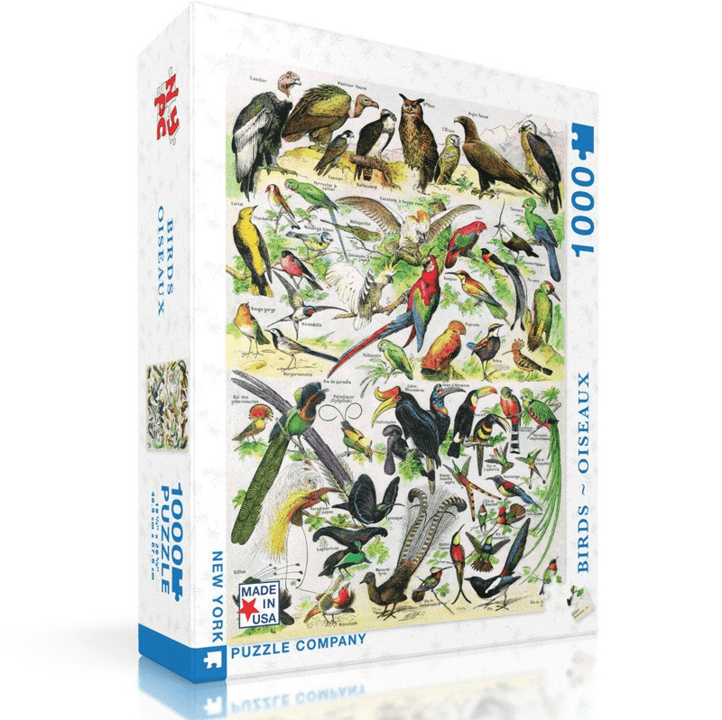Puzzle (1000pc) Vintage : Birds