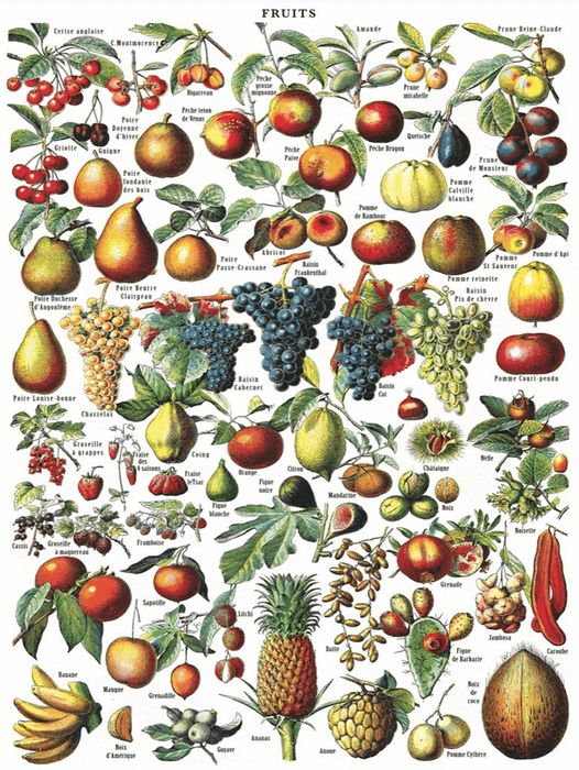 Puzzle (1000pc) Vintage : Fruits