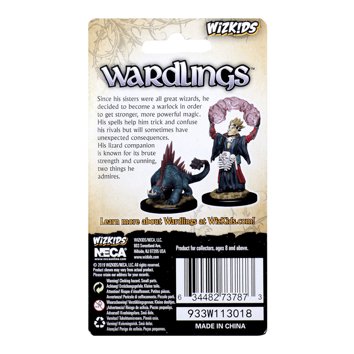 Mini - Wardlings : Boy Warlock and Lizard
